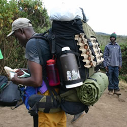 Kilimanjaro Tour Guide